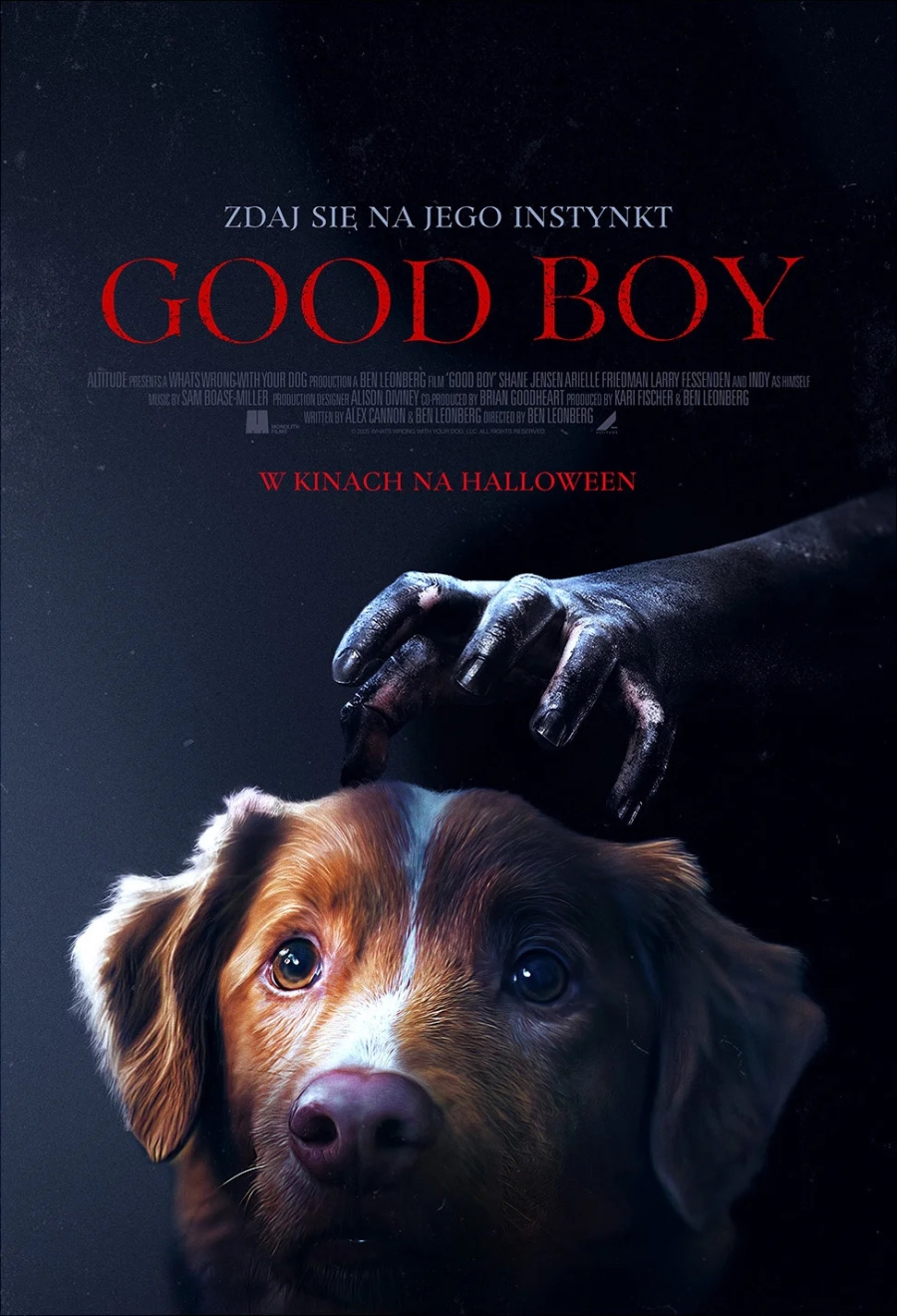 &quot;Good Boy&quot; 6-8.12.2025, godz. 20.00 (NAPISY,2D)
