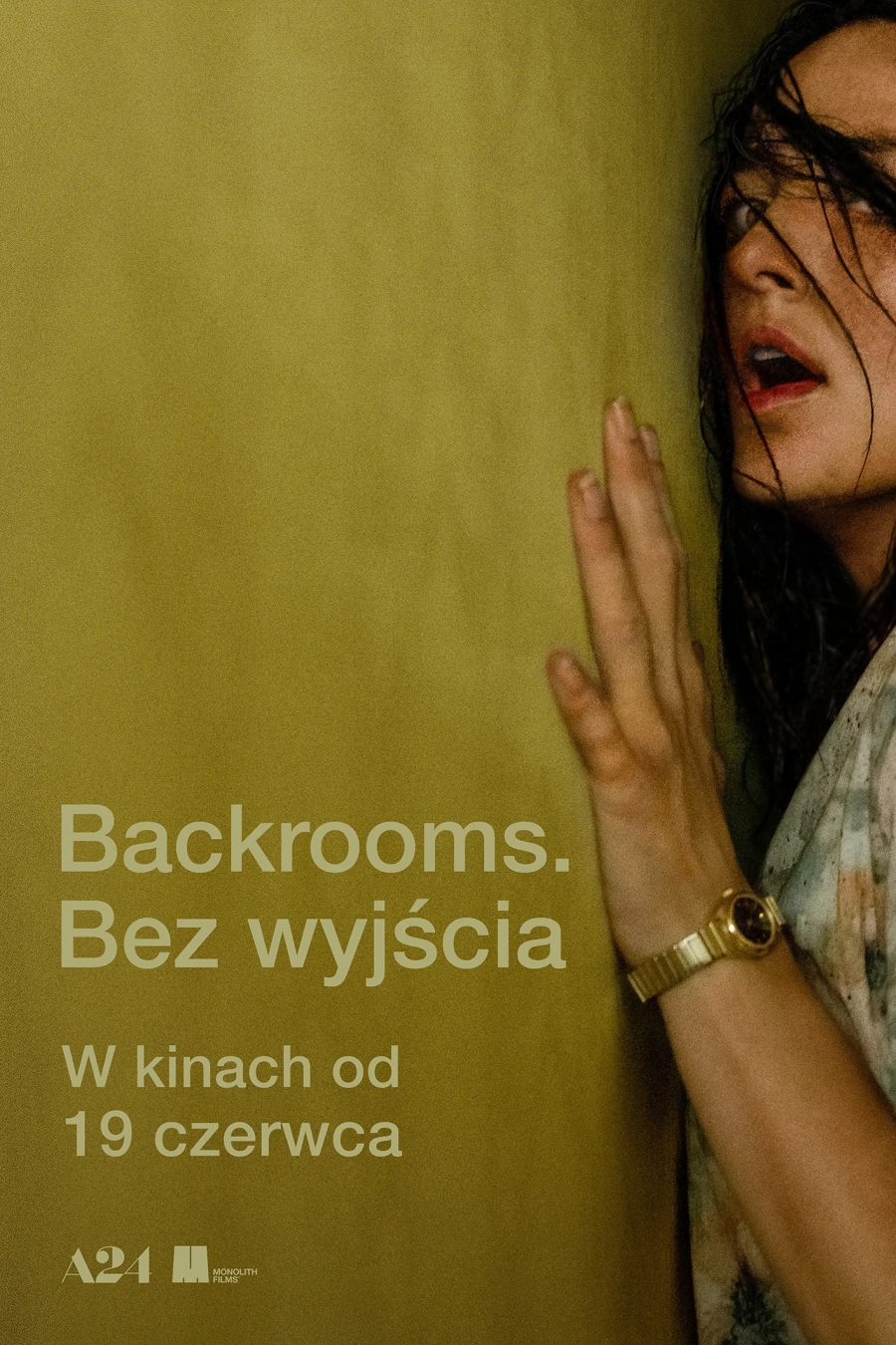 "Backrooms. Bez wyjścia" 19-23.06.2026, godz. 19.45 (NAPISY,2D) PREMIERA!